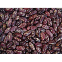 Chinese Purple Speckled Kidney Bean in Good Quality
